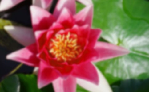 2024�����ݺɻ��ľ���24��