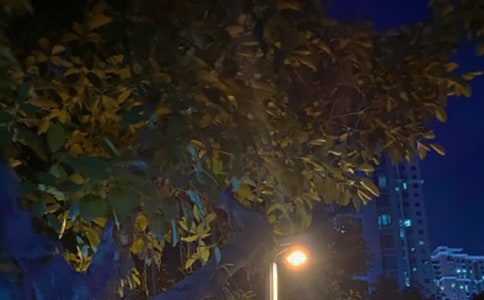 2023�����ݺ��º�ҹ�ľ��Ӽ���34��