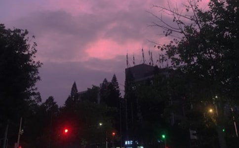 ��д��ҹ�ľ���