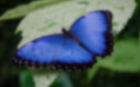 ��д����ͼ���ľ���