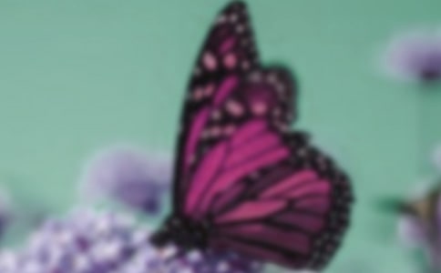 ���ݺ����ľ���27��