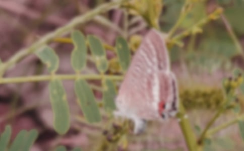 2024�����ݺ����ľ���18��