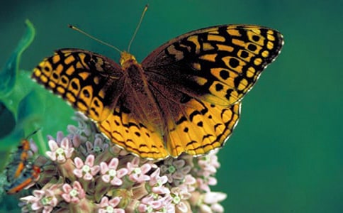 ���ڻ��ͺ�����Ψ������