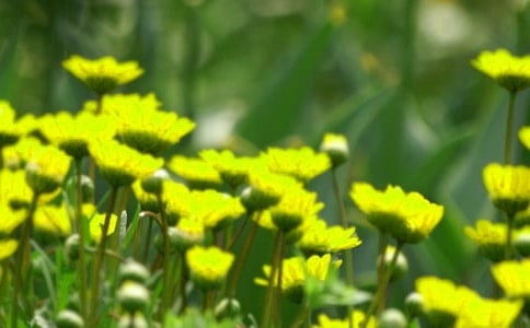 ���仨���������ӽ���50��