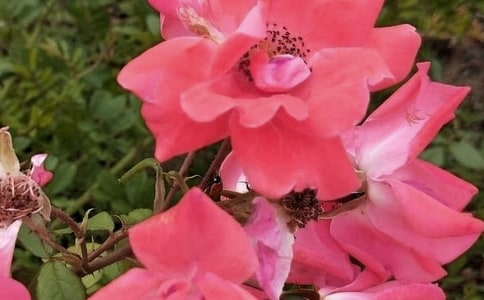 ��������˵˵