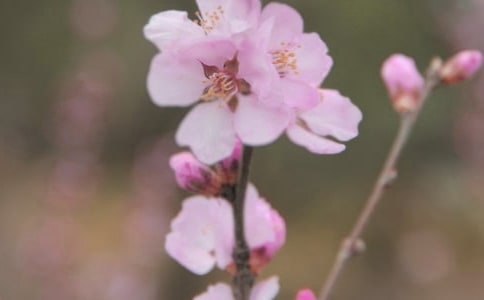 �����������鲻����˵˵