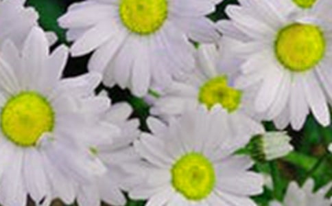 ���仨���������Ӽ���59��