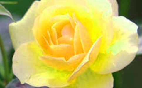 2022�꾭�仨����������ժ¼36��