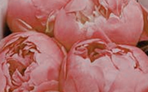 ���仨����������38��