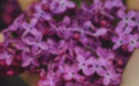 经典花朵优美句子66条