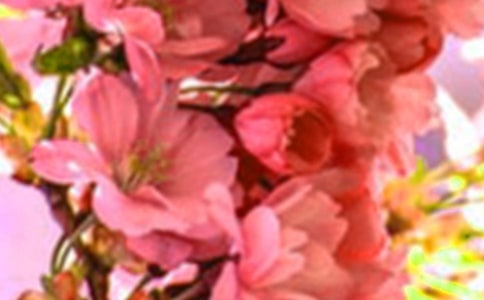 ���仨����������ժ¼79��