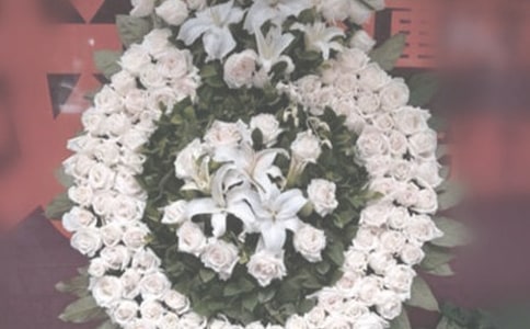 ���ϼ�����������Ȧ˵˵