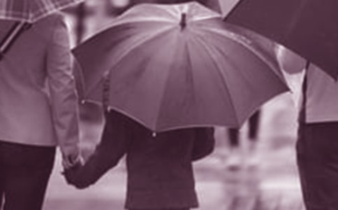 ���ڼ�ͥ����������