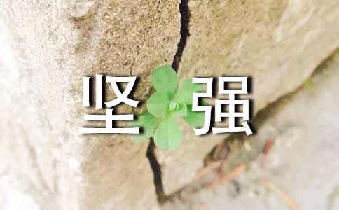 ���ڼ�ǿΨ��˵˵��¼40��