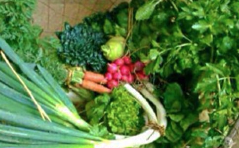 ���彡������������