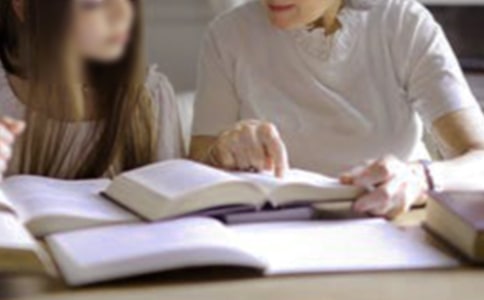 ���ڽ�������������