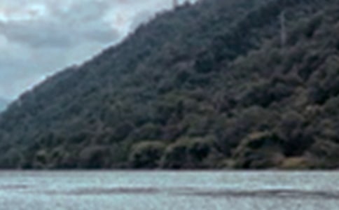 д��ɫ�ľ���