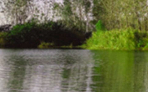 ��ɫ�����õ�΢��˵˵