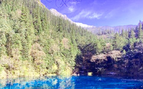 ���ݾ�կ�������ľ������ݾ�կ�������ļ򵥾���