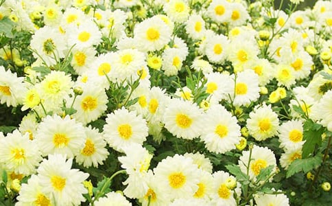 ͨ�����ݾջ��ľ���26��