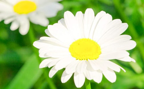 2024��ͨ�����ݾջ��ľ���23��