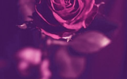 ������˵����¼39��