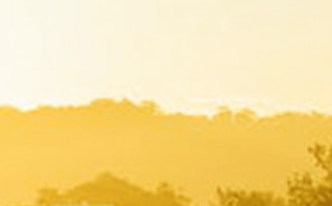 关于冲破黑暗的黎明,迎来光明的句子