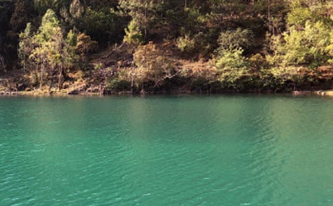 ����ȥ�������δ򿨵ľ�������˵˵