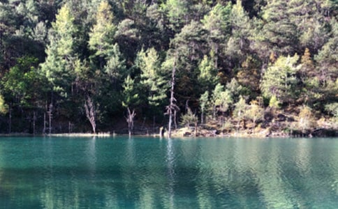 ������ĵĹ���������������˵˵����