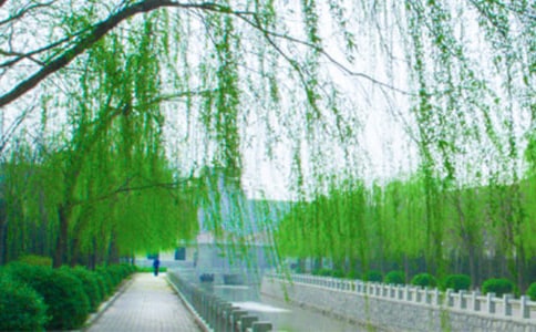 ͨ�����������ľ��Ӽ���54��