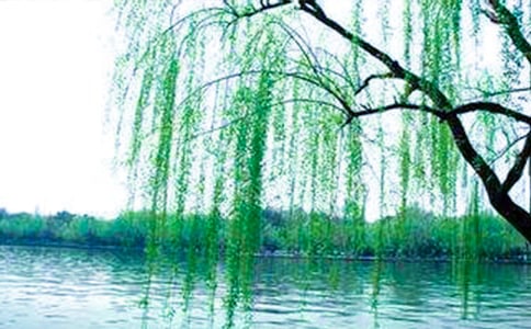 2024���й����������ľ��Ӽ���52��