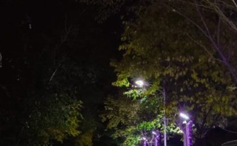 ҹ��·���µ��������