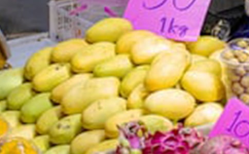 ���ڳ�â��������˵˵