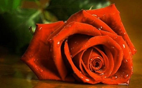 õ�廨��л���˸�˵˵