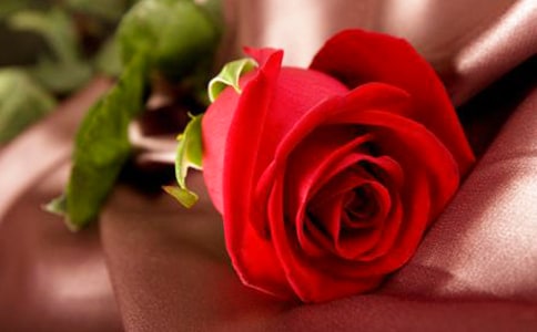 关于玫瑰花发朋友圈的说说