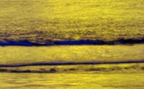 ������������ľ���