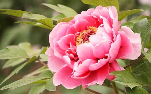 ��дĵ������Ψ������