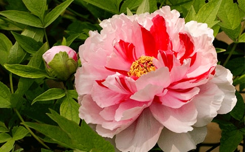 2023������ĵ�����ľ���16��