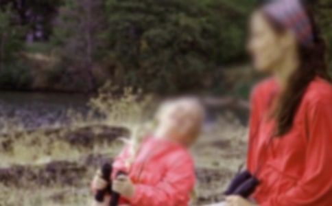 ����ĸ�׵���������