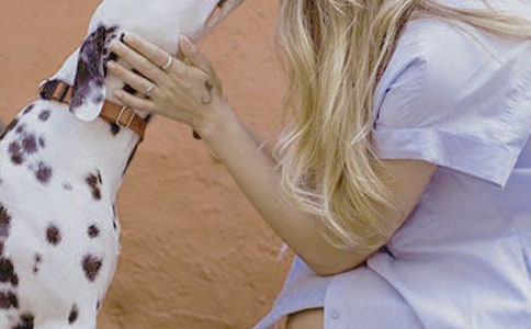 �ʺ�Ů����־�������ĸ���ǩ��