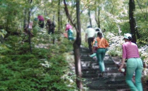 ��ɽ��˵˵��������Ȧ190��