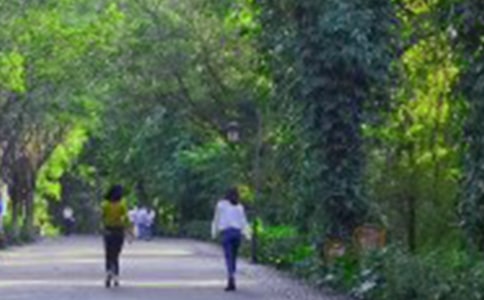 ������ɽ��˵˵