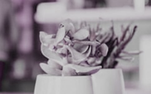 ��д���Եľ���