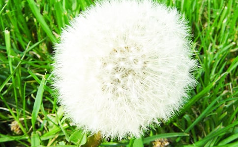 �����ѹ�ӢΨ���ľ���