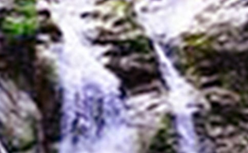 �����ٲ��ľ���˵˵