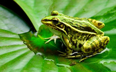 ��д���ܶ����ľ��Ӷ̵Ļ㼯