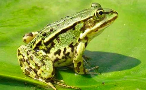 �������ܵľ���