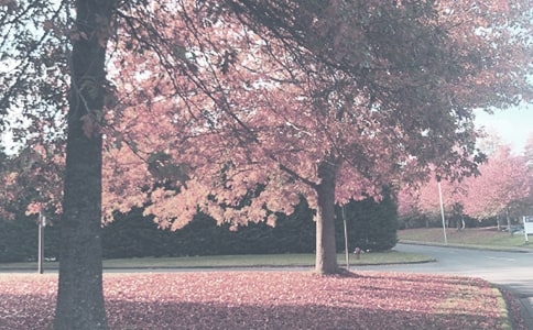 �＾��Ψ������