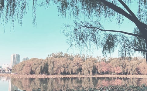 秋季周末短信祝福语