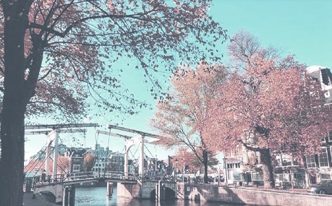 Ψ�������յı�ʾ���＾�ڽ��µľ���